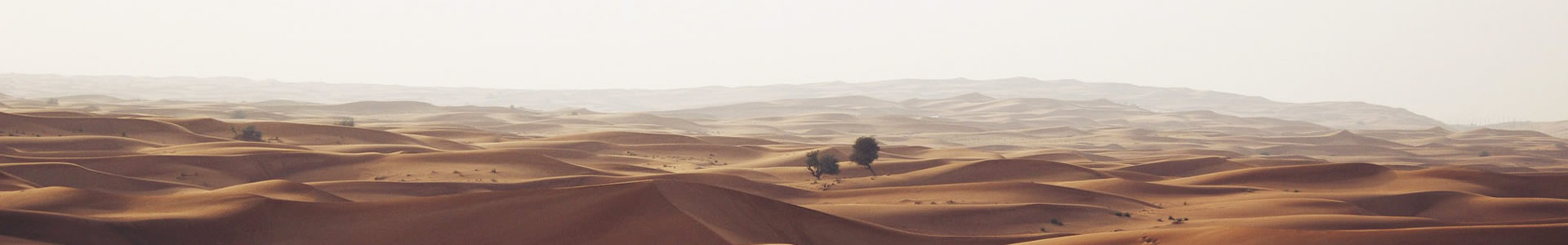 ɽںƷ޹˾